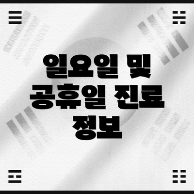일요일 및 공휴일 진료 정보