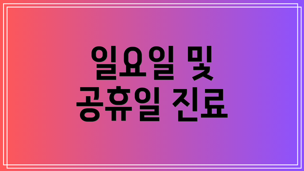 일요일 및 공휴일 진료