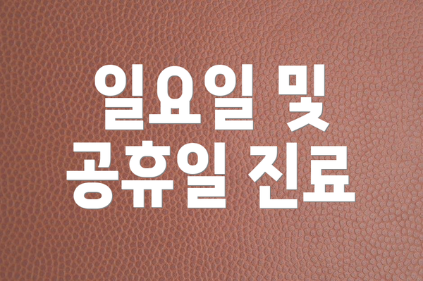 일요일 및 공휴일 진료