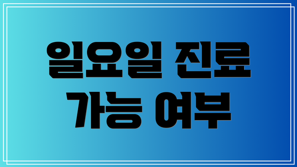 일요일 진료 가능 여부