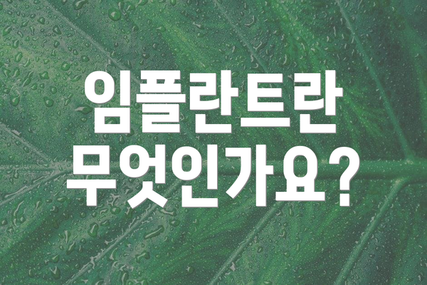 임플란트란 무엇인가요?