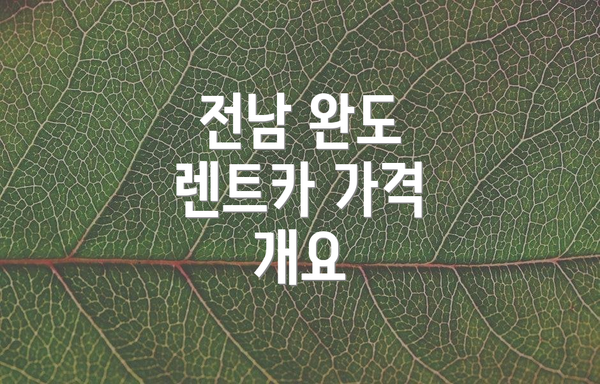 전남 완도 렌트카 가격 개요