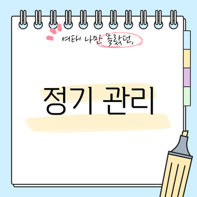 정기 관리