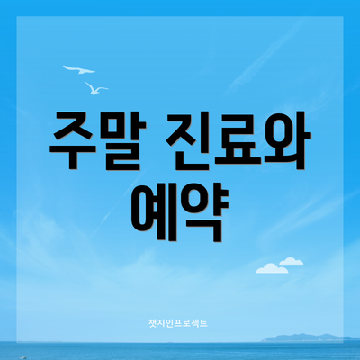 주말 진료와 예약