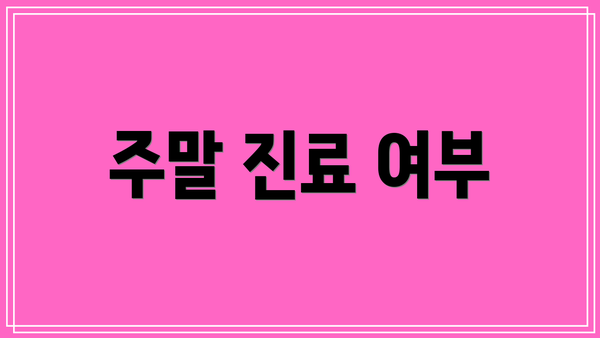 주말 진료 여부