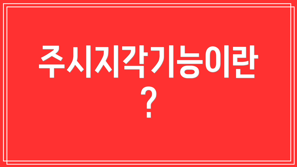 주시지각기능이란?