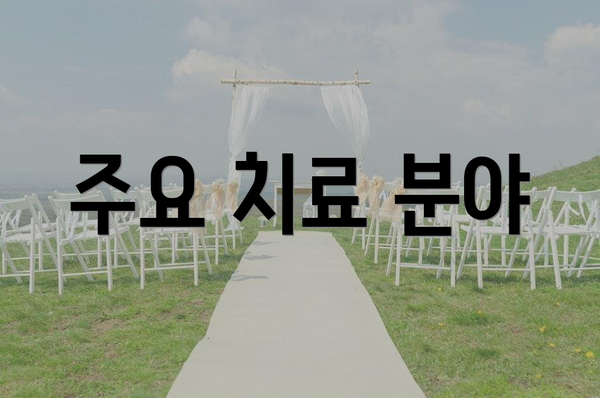 주요 치료 분야