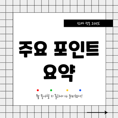 주요 포인트 요약