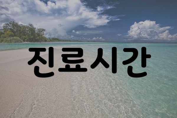 진료시간