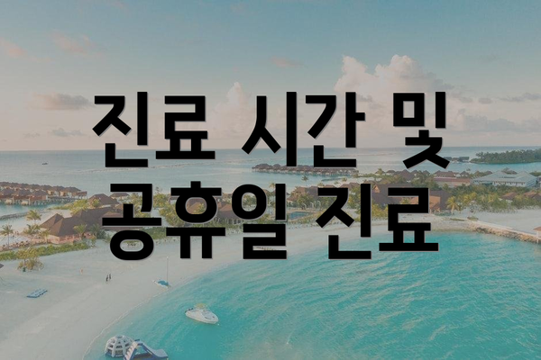 진료 시간 및 공휴일 진료