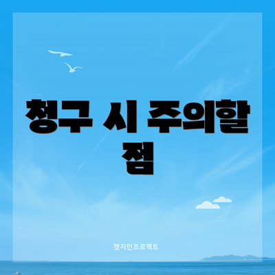 청구 시 주의할 점