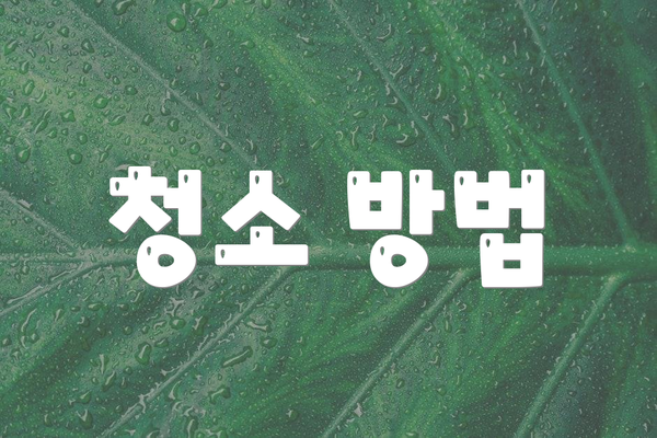 청소 방법