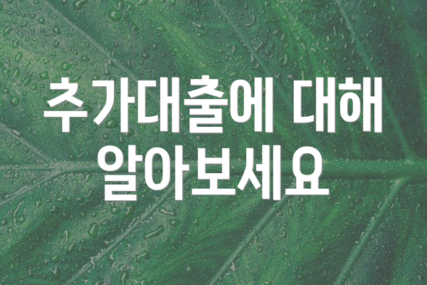 추가대출에 대해 알아보세요