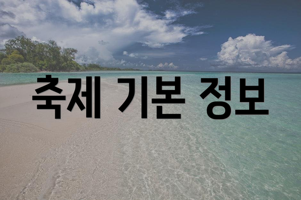 축제 기본 정보