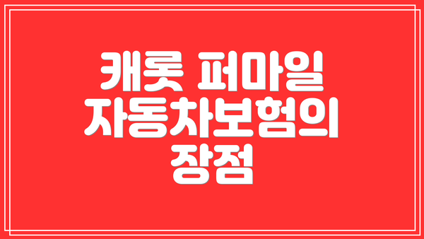 캐롯 퍼마일 자동차보험의 장점
