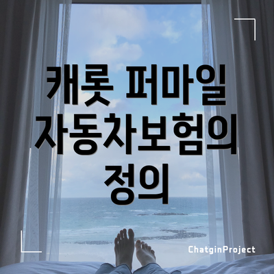 캐롯 퍼마일 자동차보험의 정의