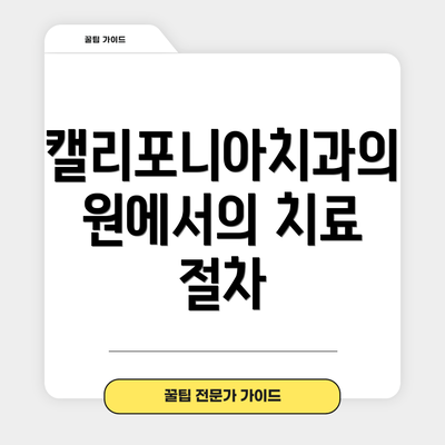 캘리포니아치과의원에서의 치료 절차