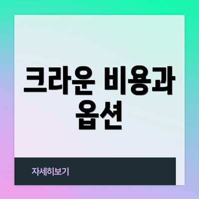 크라운 비용과 옵션