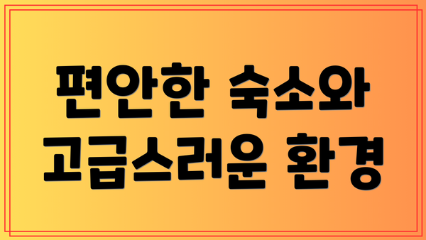 편안한 숙소와 고급스러운 환경