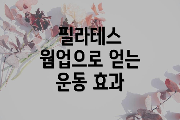 필라테스 웜업으로 얻는 운동 효과