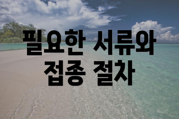 필요한 서류와 접종 절차