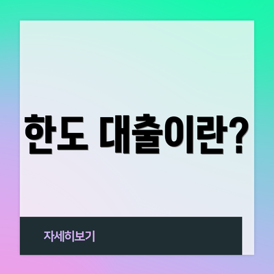 한도 대출이란?