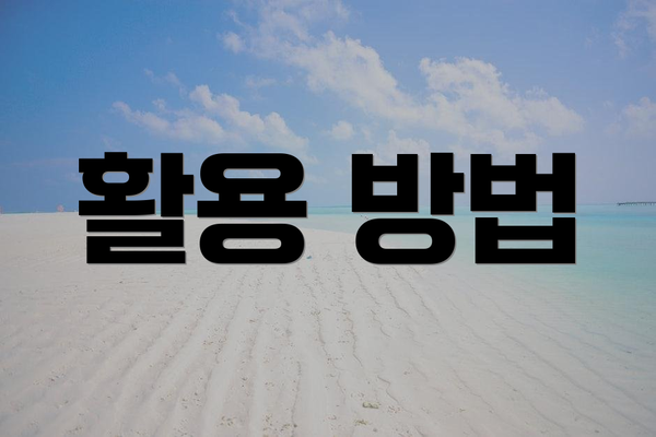 활용 방법