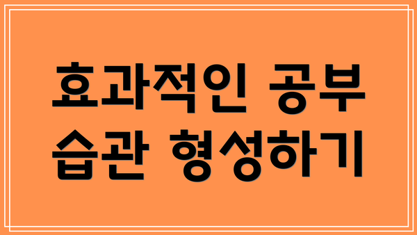 효과적인 공부 습관 형성하기