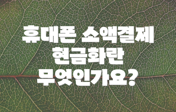 휴대폰 소액결제 현금화란 무엇인가요?