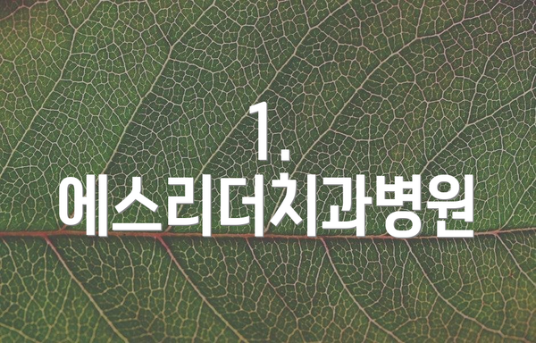 1. 에스리더치과병원