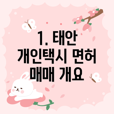 1. 태안 개인택시 면허 매매 개요