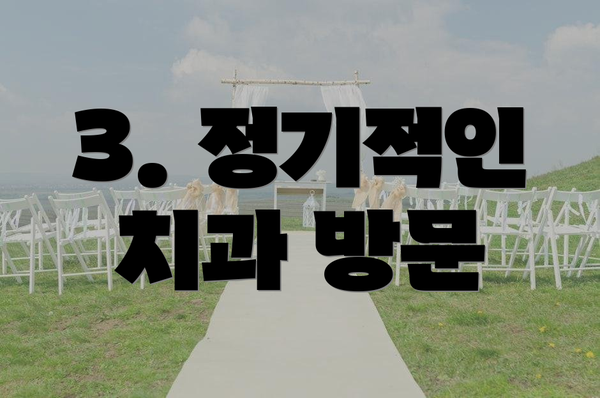 3. 정기적인 치과 방문