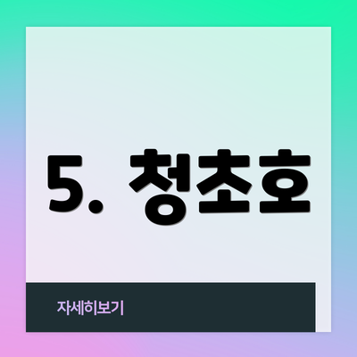 5. 청초호