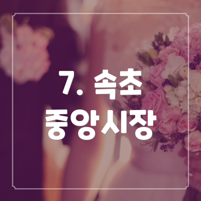 7. 속초 중앙시장