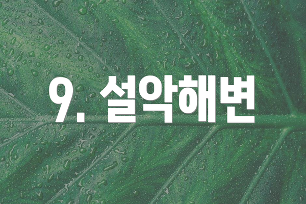 9. 설악해변