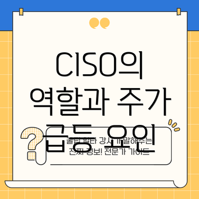 CISO의 역할과 주가 급등 요인