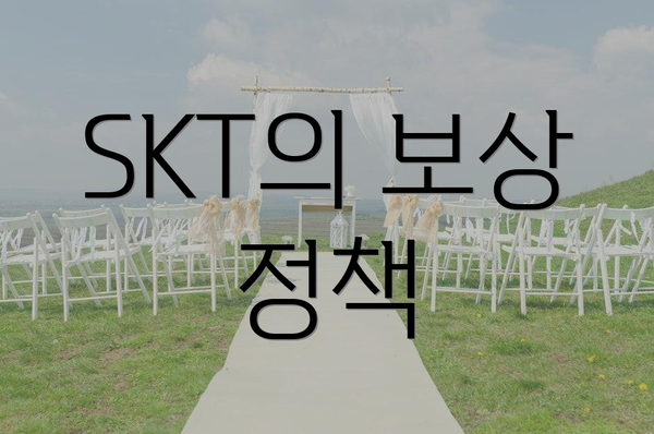 SKT의 보상 정책