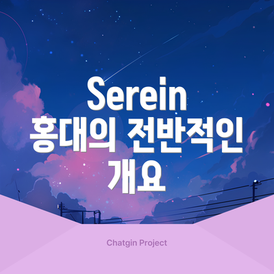 Serein 홍대의 전반적인 개요